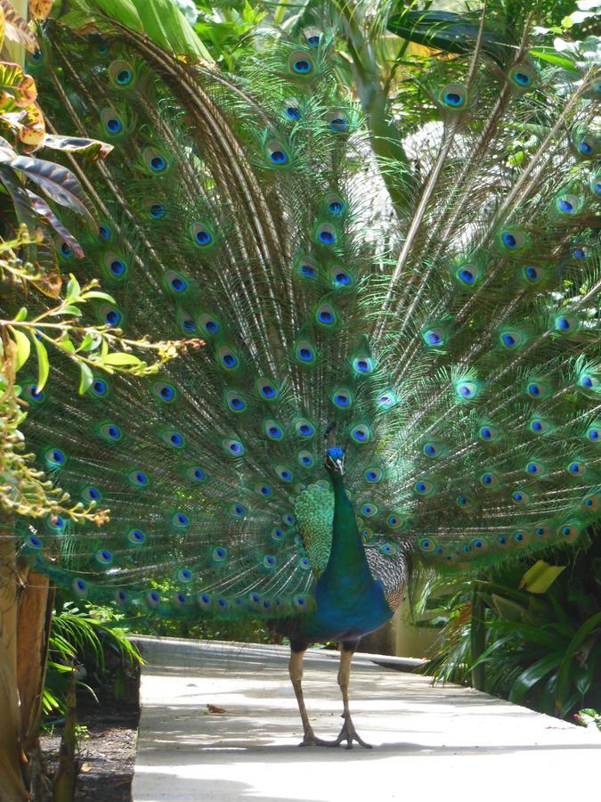 Hotel Playazul Barahona Kültér fotó